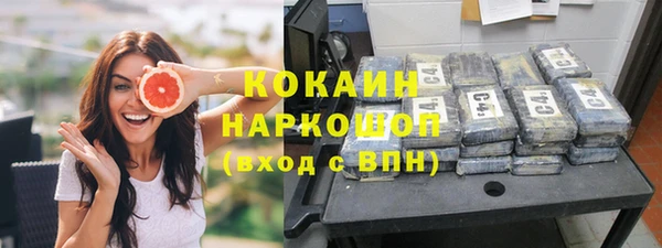 соль ск Алзамай
