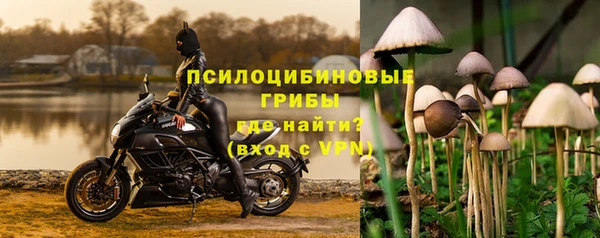 соль ск Алзамай