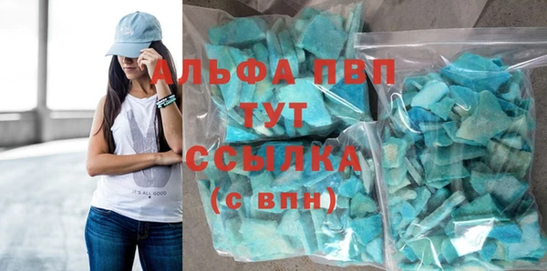гидра Алексин