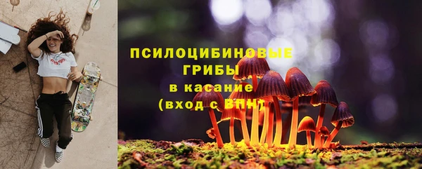 гидра Алексин